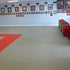 DYNAMICS-FLOOR JUDO&GRAPPLING MATS-4